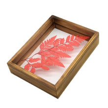 Load image into Gallery viewer, Wood Frames for Pictures Creative Plant
